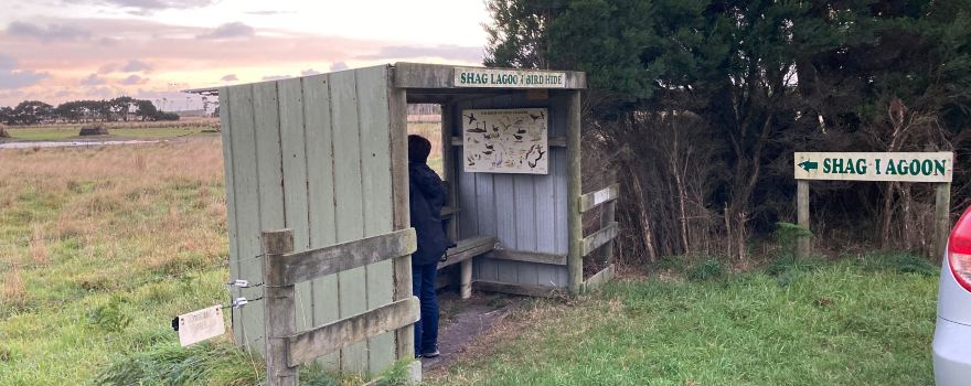 Shag Lagoon Bird Hide
