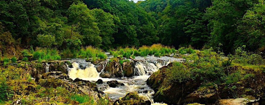 Cenarth Falls Car Park