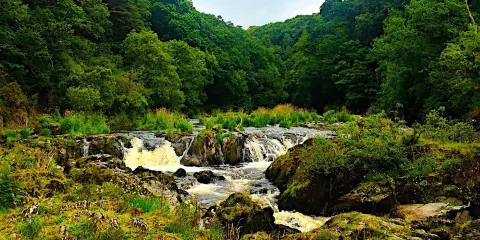Cenarth Falls and Car Park