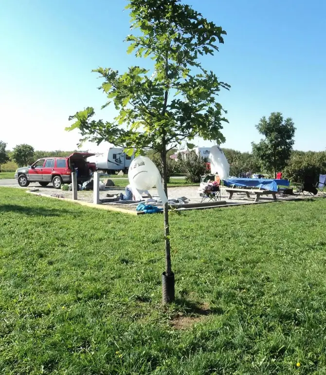 티페가누 타운쉽