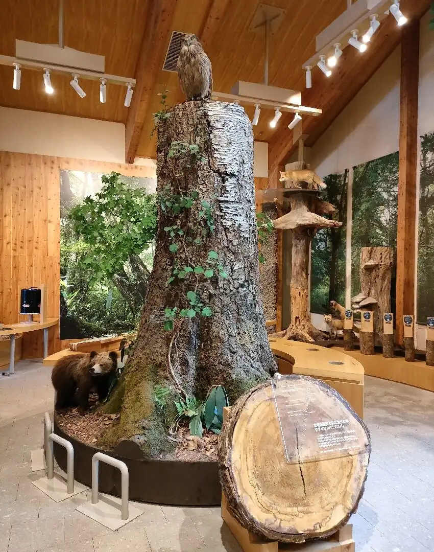 Hotels near Lake Shikotsuko Visitor Center