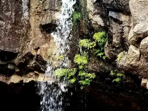 Hedge Creek Falls