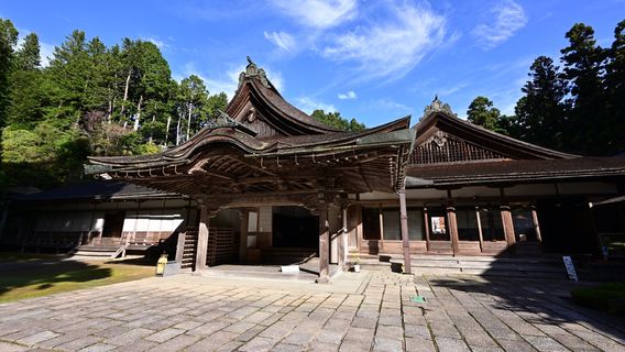 Koya