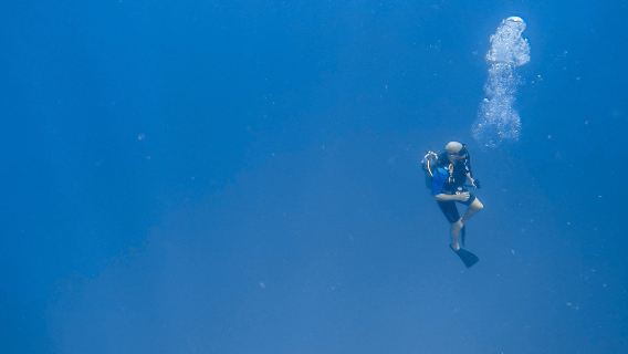 Tamarindo Diving