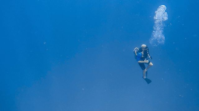 Tamarindo Diving