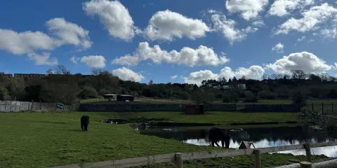 Brockswood Animal Sanctuary