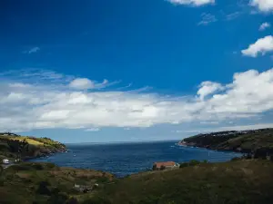 BreakOut - Newfoundland and Labrador