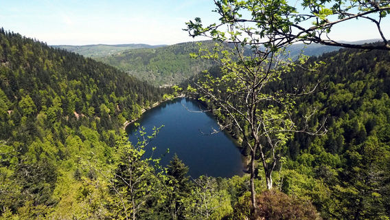 Le Lac des Corbeaux