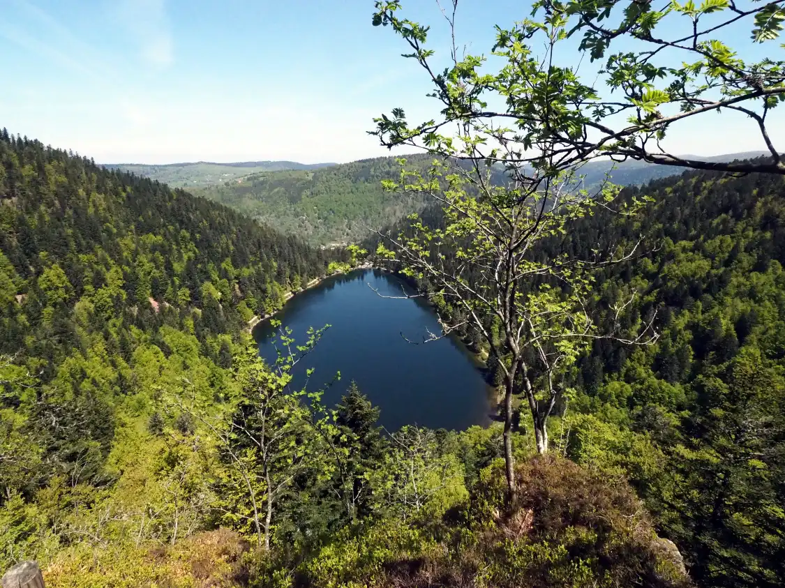 Hotels near Le Lac des Corbeaux