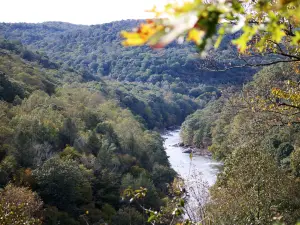 Bear Run Nature Reserve