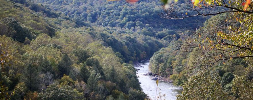 Bear Run Nature Reserve