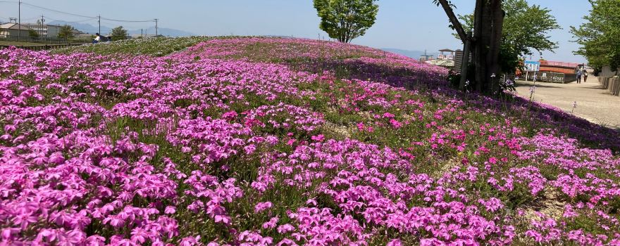 Mitsumataike Park
