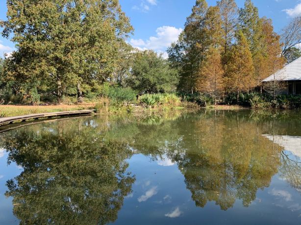 Hilltop Arboretum