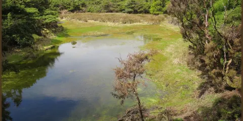 Mistérios do Sul do Pico Trail