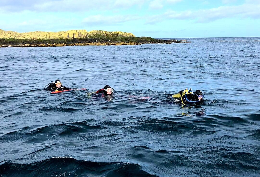 DiveMania Scuba Limited - 입장권, 운영 시간, 후기 & 사진 [2025년] | Trip.com