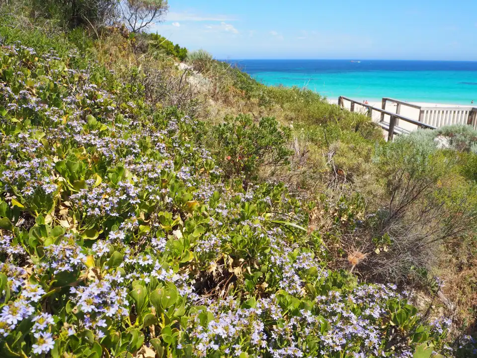4_Smiths Beach Rd