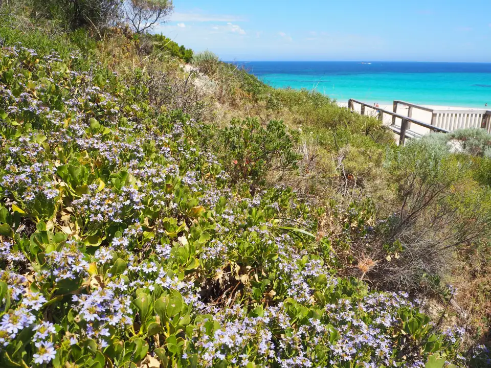 4_Smiths Beach Rd