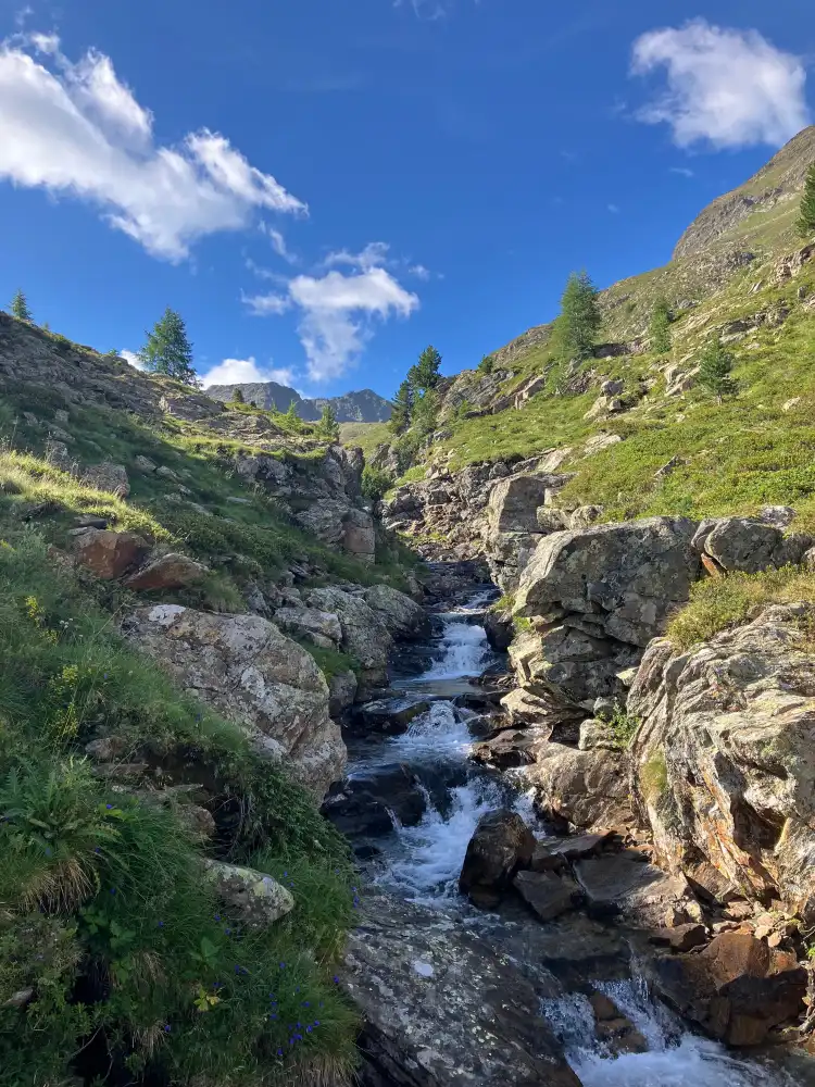 Hotels in Rasen-Antholz