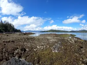 Haida Style Expeditions