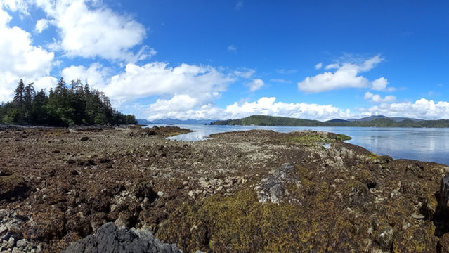 Haida Style Expeditions