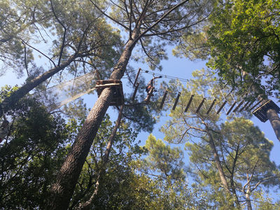 BOLLENE AVENTURE ACCROBRANCHE