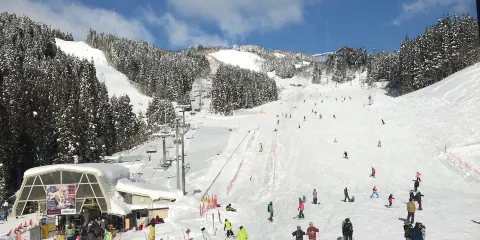 Winghills Shirotori Resort