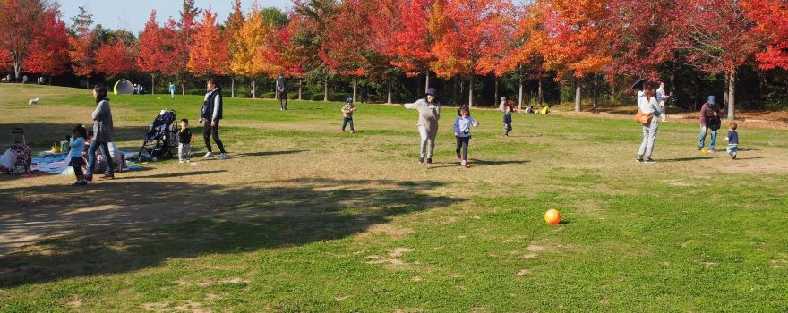 Hyogo Prefectural Mikiyama Forest Park