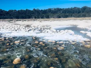 Yalgorup National Park