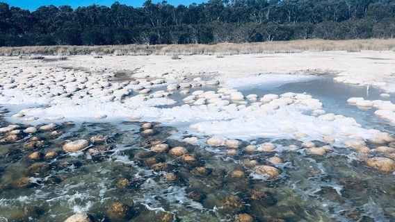 Yalgorup National Park