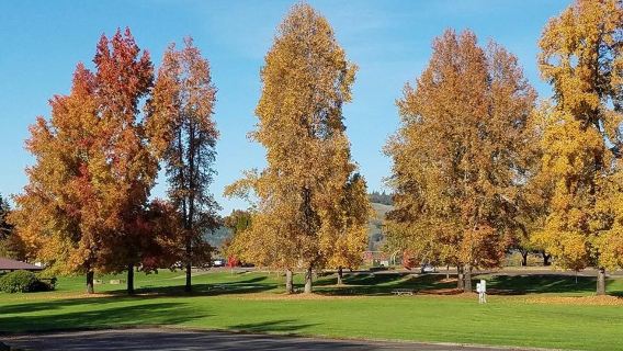 River Forks Park