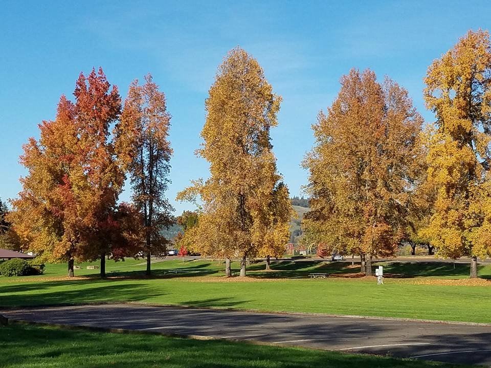 River Forks Park