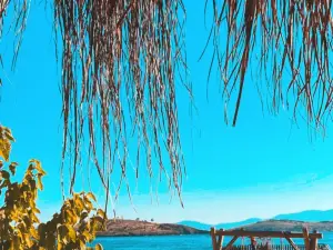 Voodoo Beach