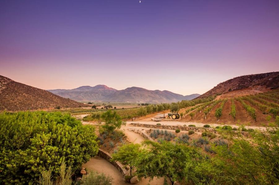 San Diego to Ensenada Flights