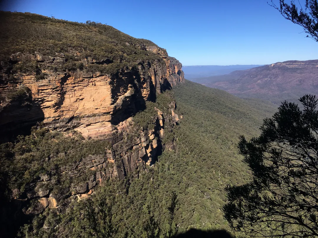 3_The Happy Coach Sydney