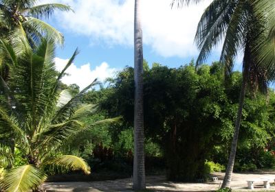 Petrea Gardens