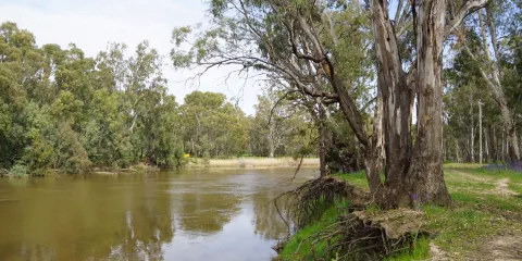 Murrumbidgee Valley National Park
