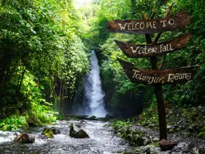 Panorama Air Terjun Telunjuk Raung