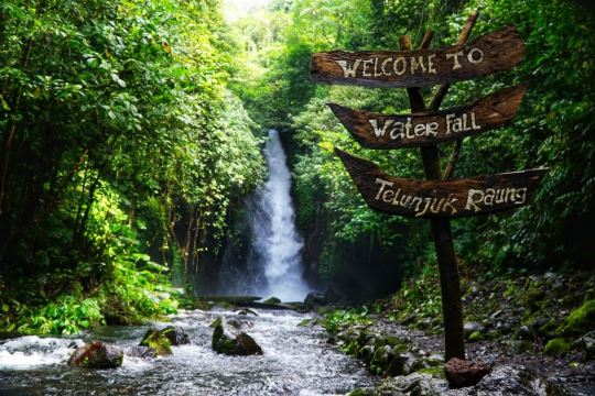 Panorama Air Terjun Telunjuk Raung