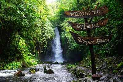 Air Terjun Telunjuk Raung