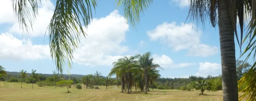 Kapaau