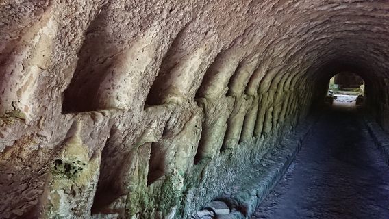 Ipogeo di Torre Pinta