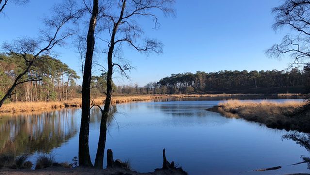 Hatertse En Overasseltse Vennen