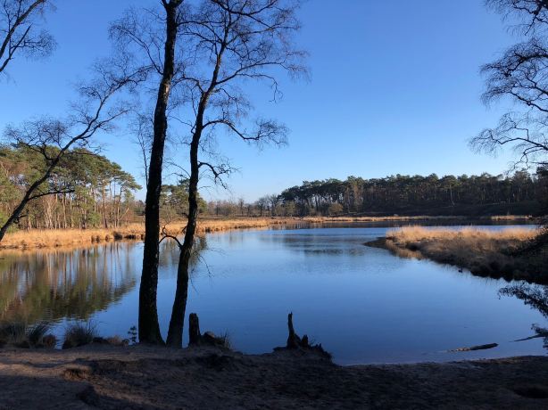 Hatertse En Overasseltse Vennen