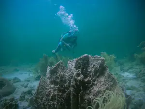 Covenas Diving Co.