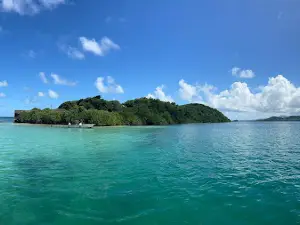 Sortie en bateau Martinique : Dénébola