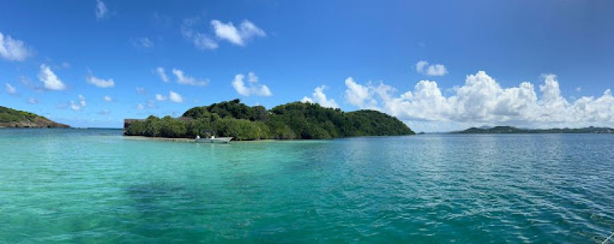 Sortie en bateau Martinique : Dénébola