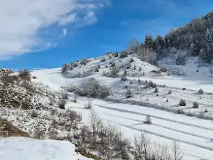 TEPEKÖY ŞAVŞAT. ARTVİN