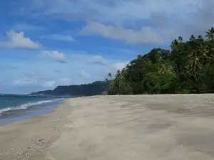 Tanna