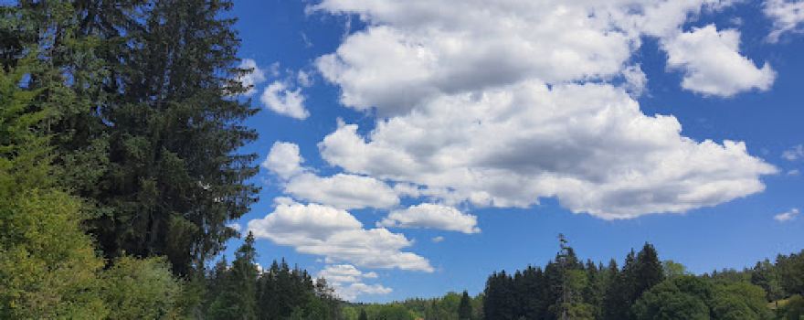 Parc Aventure de Malbuisson