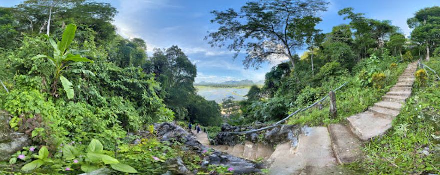 Htunt Patine Viewpoint
